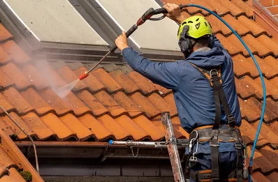 Démoussage et hydrofuge de toiture à Bâthie